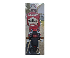 Wayne Rainey Outfit / Schaufensterpuppe - 2