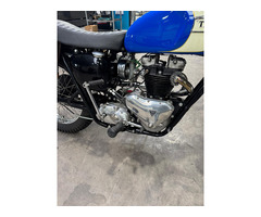 Triumph Bonneville T120 Bj. 1961 vollrestauriert - 6