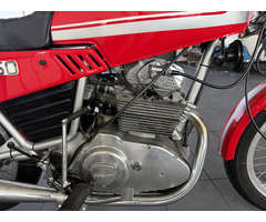 DUCATI 350 GTL - 4