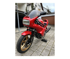 EGLI CBX 1000 Target collector condition - 4