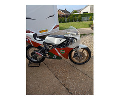 Yamaha TZ 250L - 4