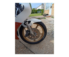 Yamaha TZ 250L - 6