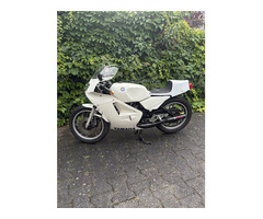 RD350 4L0, Bj 1982 , Motor komplett revidiert,