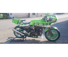 Kawasaki "Endurance" Moto Martin Replika