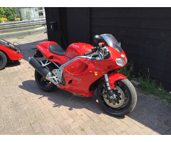 TRIUMPH DAYTONA T 595