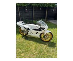 RDS 80cc rennmotorrad - 2