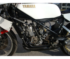 YAMAHA TZ 250 1982 J - 4