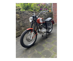 Ducati 450 Scrambler
