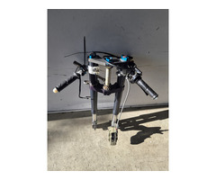 Wp Gabel mit brembo - 4