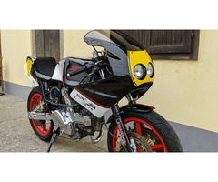 Ducati Pantah 500 Classic Racer - 3