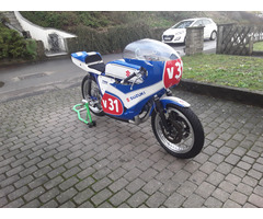 Suzuki t 500 Classic-racer