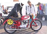 f831.jpg