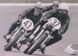 1971-muelbert-rothbrust.jpg (59629 Byte)