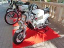 Dateiname=SL740404_(Small).JPG
Dateigröße=149KB
Abmessungen: 640x480
hinzugefügt am: %13. %703 %2008 SL740404_(Small).JPG
