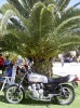 046-Honda-CBX.jpg