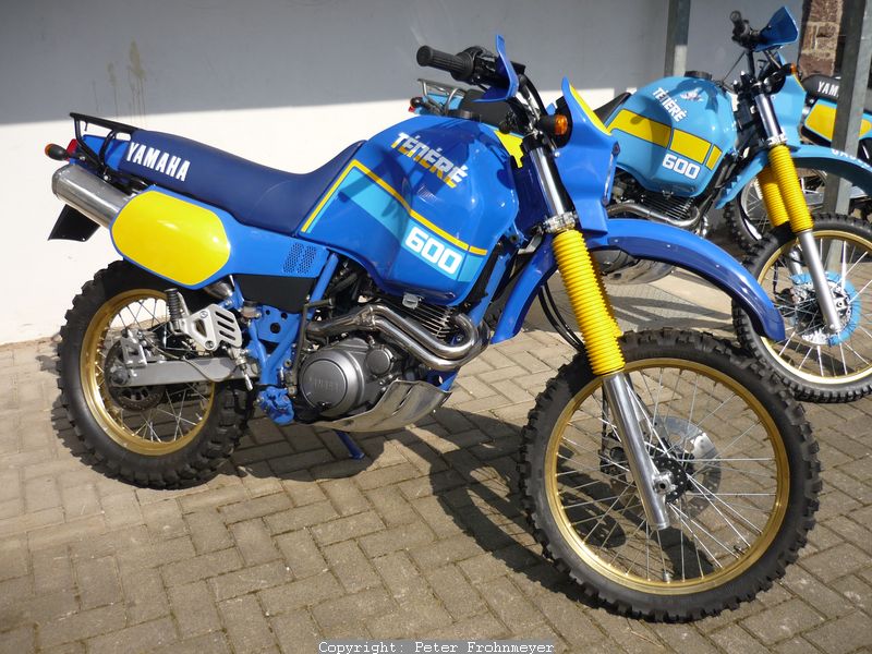 XT 600 Z Tenere, EZ 4.86, Typ 1VJ, Komplettrestauration
