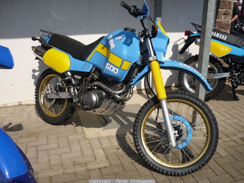 XT 600 Z Tenere, EZ 83, Typ 1VJ, Umbau auf Scheibenbremse hinten, Sportauspuff
