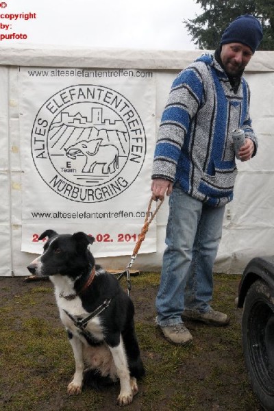 Elefantentreffen 2011
