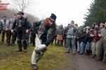 Ele2011_5959.jpg