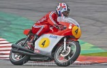 2010-spa-bedlington.jpg