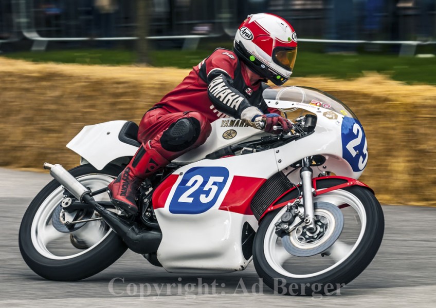 Hamburger Stadtpark-Revival 2012
Reinhard Hiller - Yamaha TZ350
