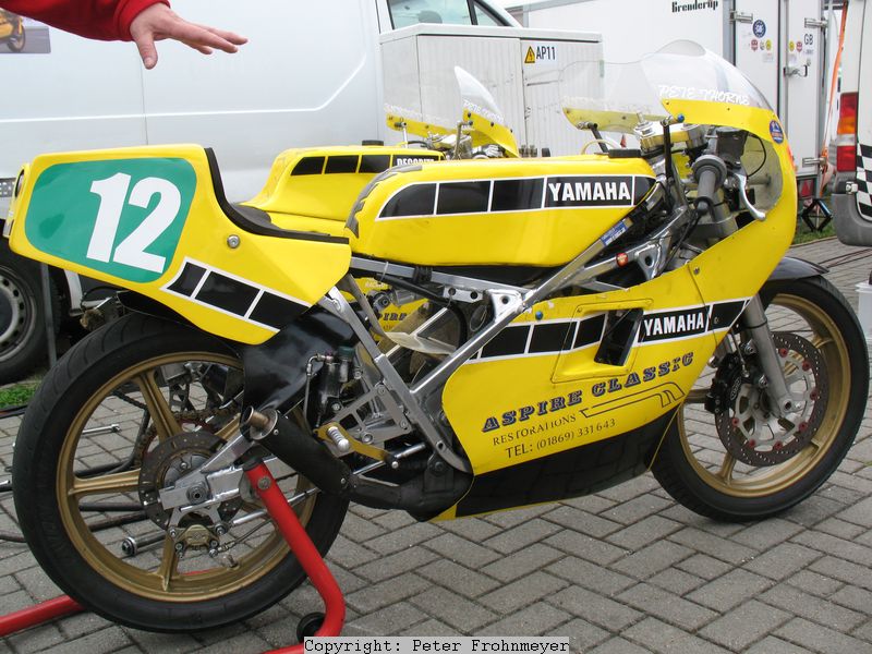 DRS-Yamaha TZ 250 L (1984) von Peter Thorne 
