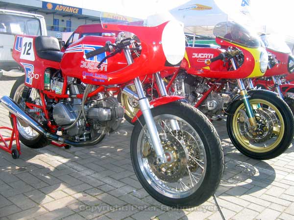 Shell--021.jpg