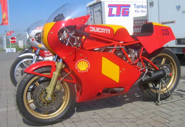 Shell--069.jpg
