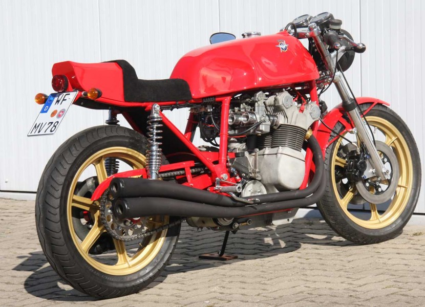 Busch-MV von Dr. Stephan Elisat
