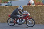 Dateiname=CSC_0029.jpg
Dateigröße=437KB
Abmessungen: 1024x682
hinzugefügt am: %05. %784 %2015 CSC_0029.jpg