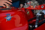 Dateiname=DSC_0012~0.jpg
Dateigröße=68KB
Abmessungen: 1024x678
hinzugefügt am: %11. %703 %2017 DSC_0012~0.jpg