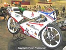 Dateiname=Honda RS125.jpg
Dateigröße=50KB
Abmessungen: 600x450
hinzugefügt am: %06. %817 %2005 Honda RS125.jpg