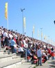 Shell--212.jpg