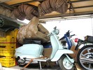 Dateiname=imola-05-38.jpg
Dateigröße=173KB
Abmessungen: 538x403
hinzugefügt am: %25. %782 %2005 imola-05-38.jpg