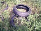Dateiname=t20-Slicks2.jpg
Dateigröße=216KB
Abmessungen: 600x450
hinzugefügt am: %29. %916 %2006 t20-Slicks2.jpg