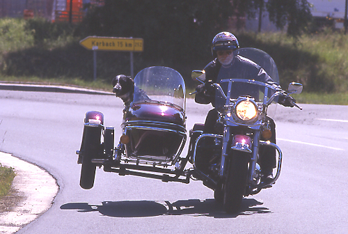 1996: Harley-Davidson Gespann
