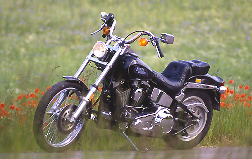 1983: Harley-Davidson "Evo-Softail"
