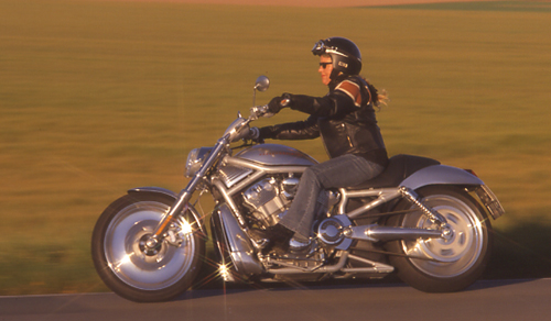 2003: Harley-Davidson V Rod "Power-Cruiser"
