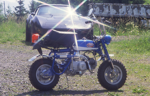 "Affen-Bande": Honda Monkey
