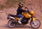 triumph_tiger.jpg