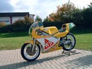 Bakker-Rotax 250  a.JPG