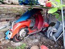 Dateiname=Vespa-GL-1.JPG
Dateigröße=310KB
Abmessungen: 1408x1056
hinzugefügt am: %18. %859 %2005 Vespa-GL-1.JPG