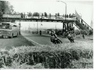 Dateiname=JW_Ragia4.jpg
Dateigröße=288KB
Abmessungen: 1392x1040
hinzugefügt am: %24. %900 %2004 JW_Ragia4.jpg