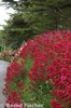 Dateiname=Impressionen_43.jpg
Dateigröße=341KB
Abmessungen: 397x600
hinzugefügt am: %06. %752 %2006 Impressionen_43.jpg