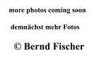 Dateiname=Z_more_photos______.jpg
Dateigröße=59KB
Abmessungen: 600x450
hinzugefügt am: %25. %799 %2006 Z_more_photos______.jpg
