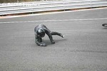 Dateiname=fischer-spa-04-92.jpg
Dateigröße=40KB
Abmessungen: 600x398
hinzugefügt am: %08. %906 %2005 fischer-spa-04-92.jpg