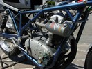 Desmo_5.JPG