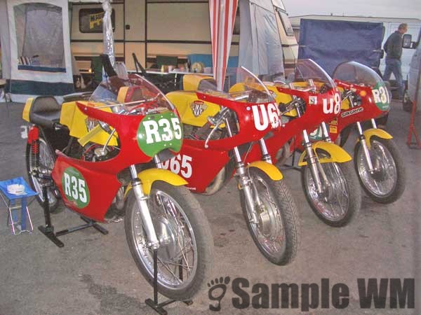maicoteam-12.jpg