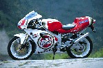 Dateiname=rgv250sp.gif
Dateigröße=69KB
Abmessungen: 397x264
hinzugefügt am: %12. %877 %2007 rgv250sp.gif