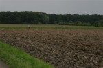 Dateiname=Rest_Hamm0023.JPG
Dateigröße=140KB
Abmessungen: 810x539
hinzugefügt am: %29. %590 %2008 Rest_Hamm0023.JPG